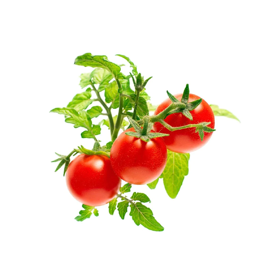 Cherry Tomato