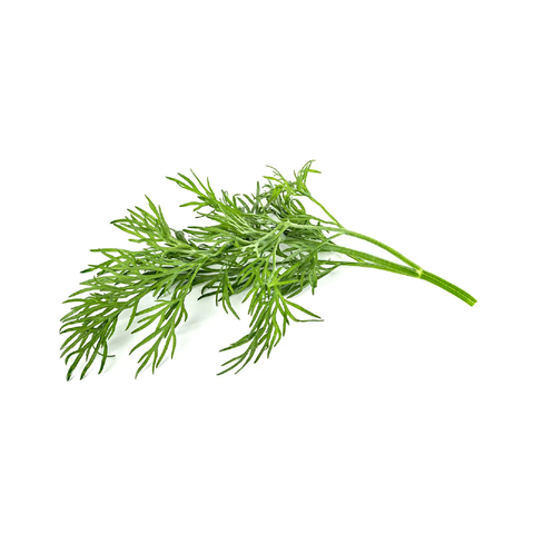 Dill