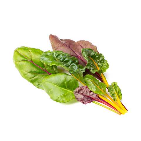 Rainbow Chard