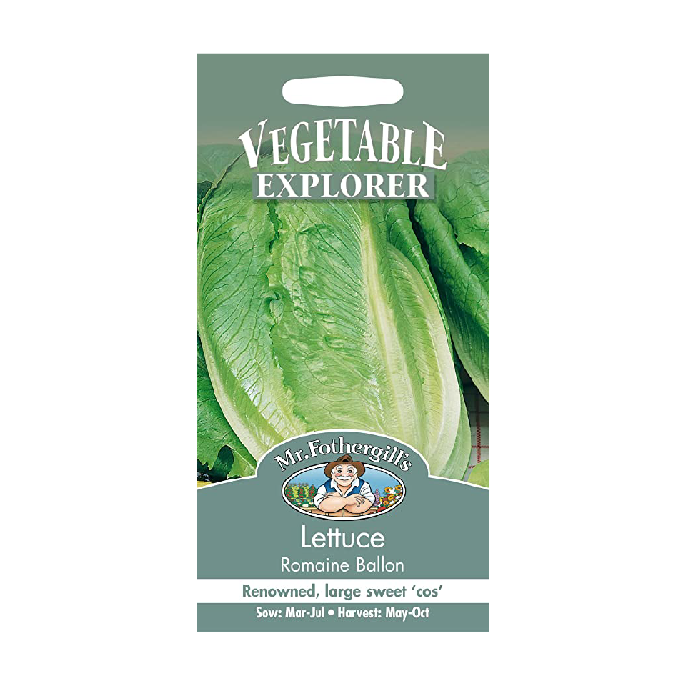 Romain Lettuce